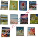 ALBUM PORTAFOTO 80 POSTI CM. 15X10